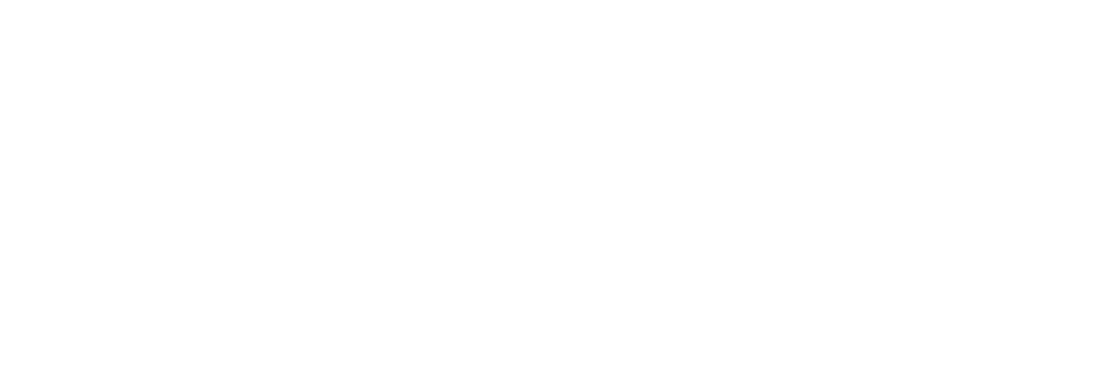 Logo von belaruswomen.org